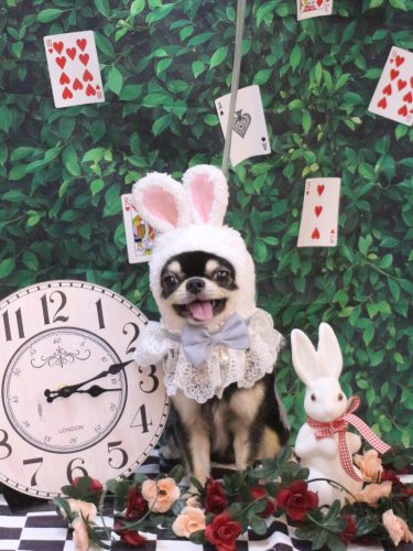 20250426ラブくん